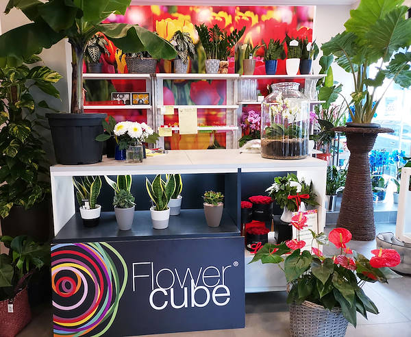 تم تجديد المظهر الجديد لـ Oasi dei Fiori في ميلانو بتصميم شاب وأنيق