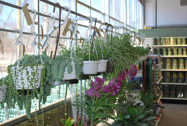 The new Petitti Garden Centers