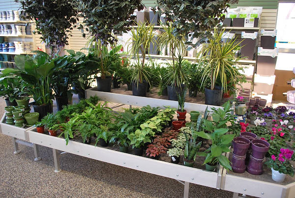 Petitti Garden   مراكز الجديد