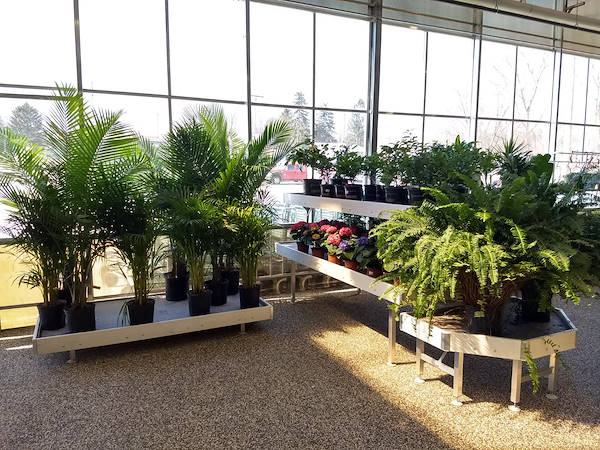 Petitti Garden   مراكز الجديد