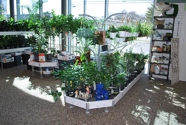 Petitti Garden   مراكز الجديد