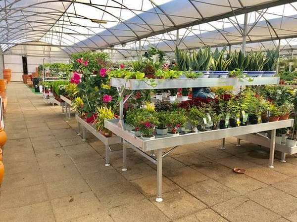 في البرتغال  Alfa Garden Center   إعادة تصميم