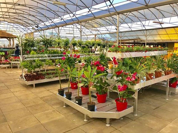 The restyling of Alfa Garden Center in Portugal