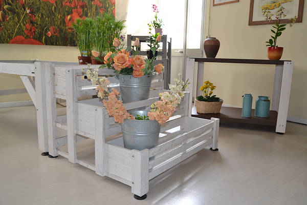 Ti apettiamo presso il nostro nuovo showroom!