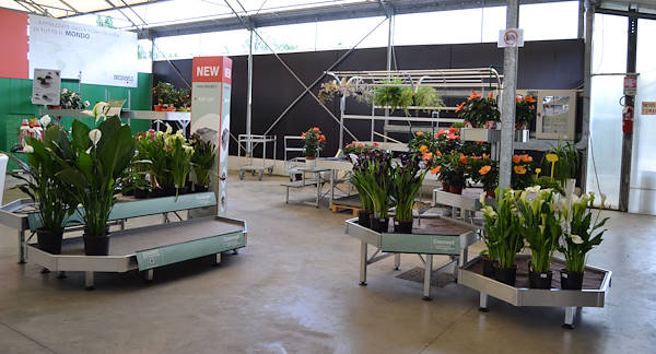 Ti apettiamo presso il nostro nuovo showroom!