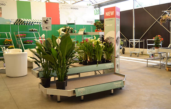 Ti apettiamo presso il nostro nuovo showroom!