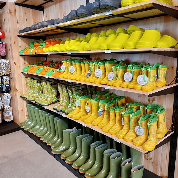 The opening - The Garden Center Il Tulipano