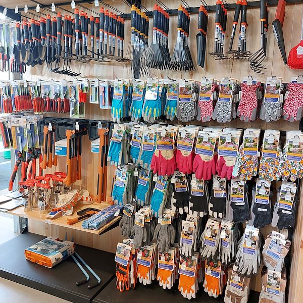 The opening - The Garden Center Il Tulipano