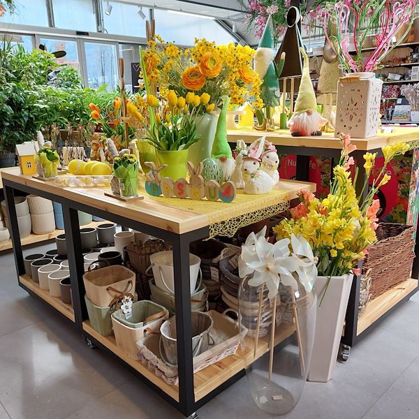 The opening - The Garden Center Il Tulipano