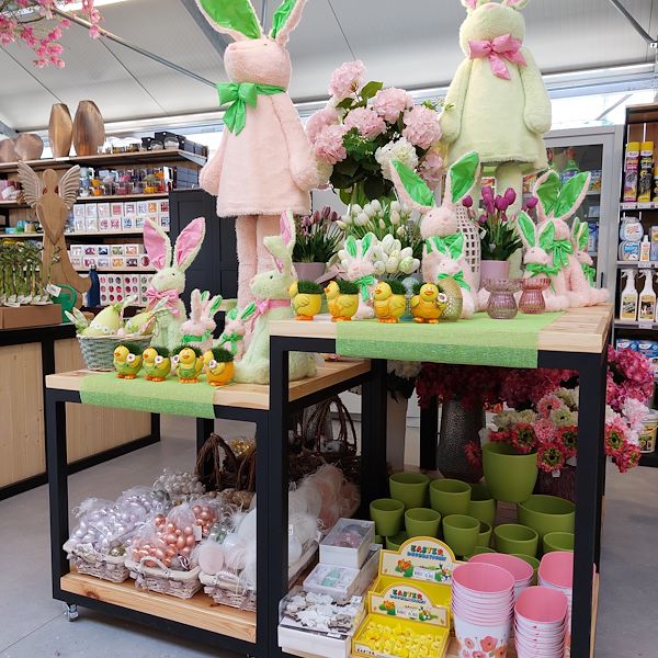 L'apertura - Il Tulipano Garden