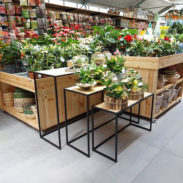 Die Eröffnung - Das Gartencenter „Il Tulipano“