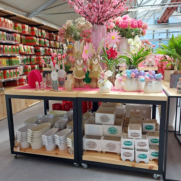 The opening - The Garden Center Il Tulipano