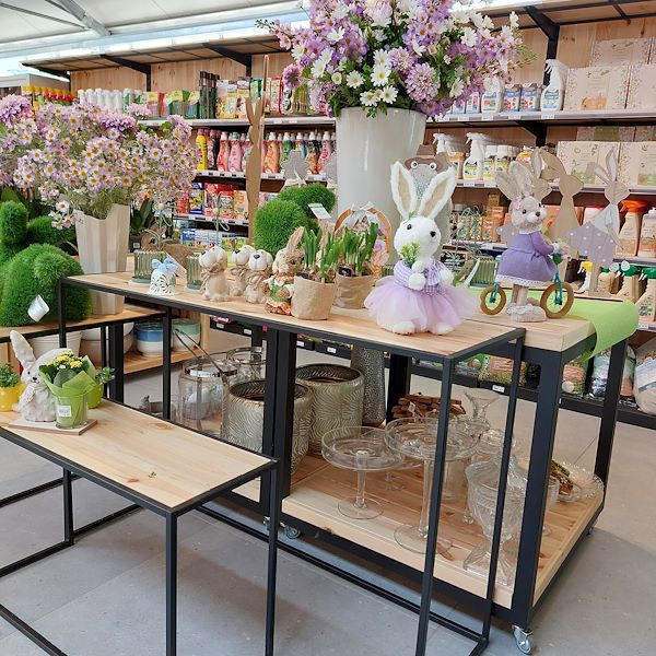 La Inauguración - El Centro de Jardinería Il Tulipano