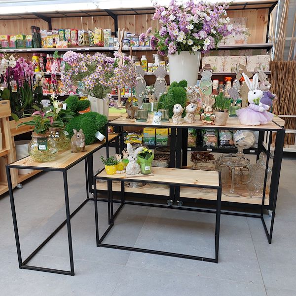 The opening - The Garden Center Il Tulipano