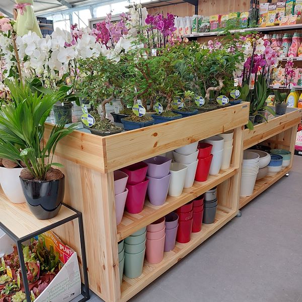 L'apertura - Il Tulipano Garden