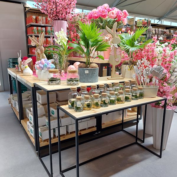 L'apertura - Il Tulipano Garden