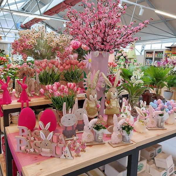 L'apertura - Il Tulipano Garden