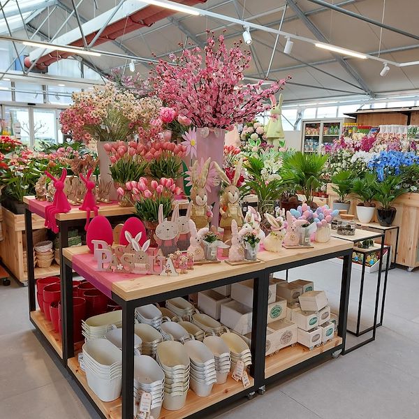 La Inauguración - El Centro de Jardinería Il Tulipano