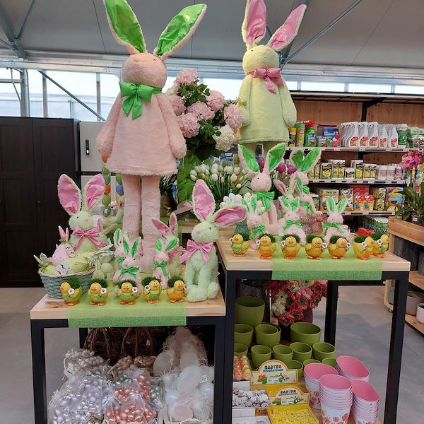 Die Eröffnung - Das Gartencenter „Il Tulipano“