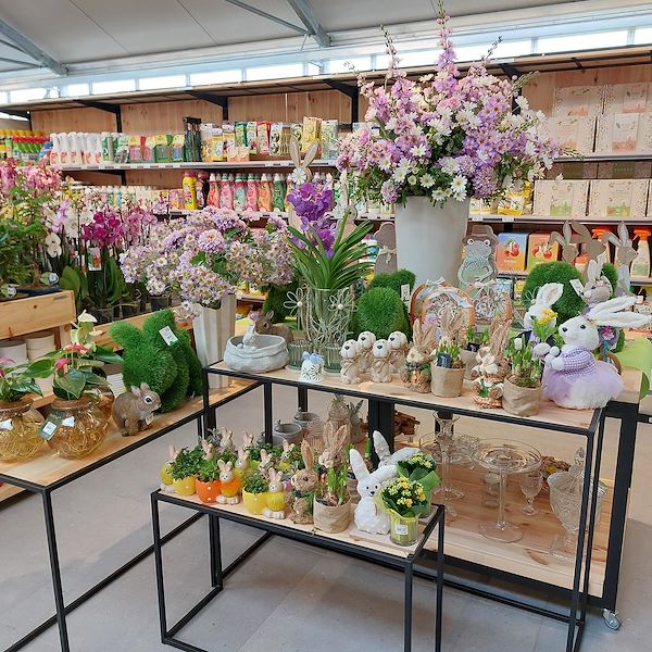 L'apertura - Il Tulipano Garden