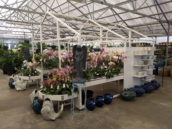Turner Garden обновляет свой садовый центр для увеличения продаж