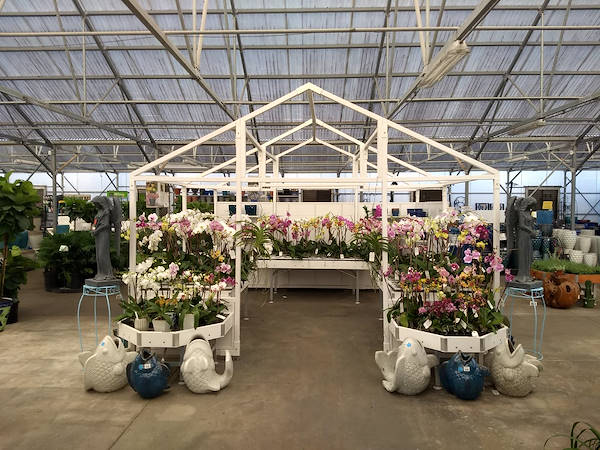 Turner Garden обновляет свой садовый центр для увеличения продаж