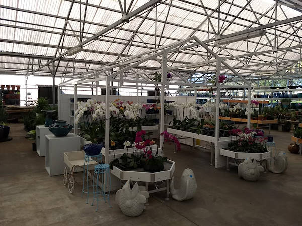 Turner Garden обновляет свой садовый центр для увеличения продаж