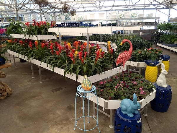 Turner Garden обновляет свой садовый центр для увеличения продаж