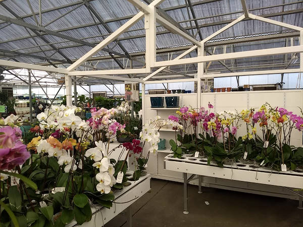 Turner Garden renoviert sein Gartencenter, um den Umsatz zu steigern