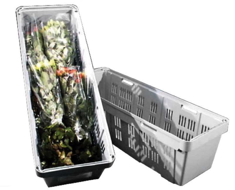 Universal container for cut flower transport, 50 pieces, grey