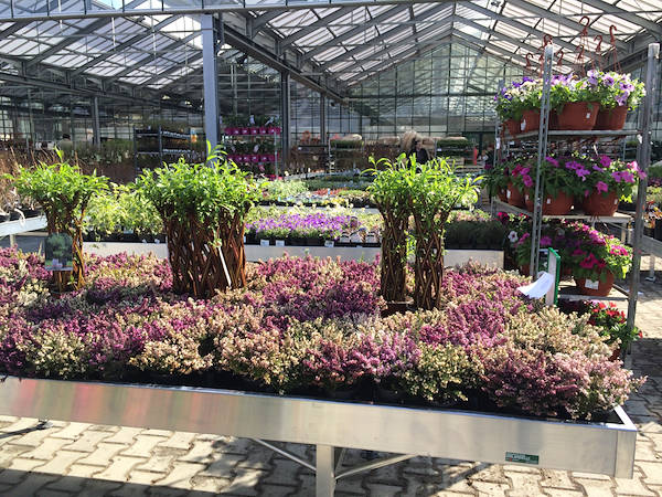 Uno dei segreti per guadagnare nella Floricoltura