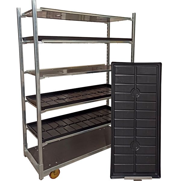 صينية  مياه  DC