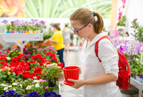 VASH SAD, el nuevo centro jardinería a Odessa.