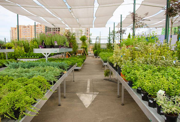 VASH SAD, la nouvelle jardinerie à Odessa