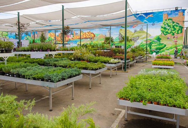 VASH SAD, la nouvelle jardinerie à Odessa