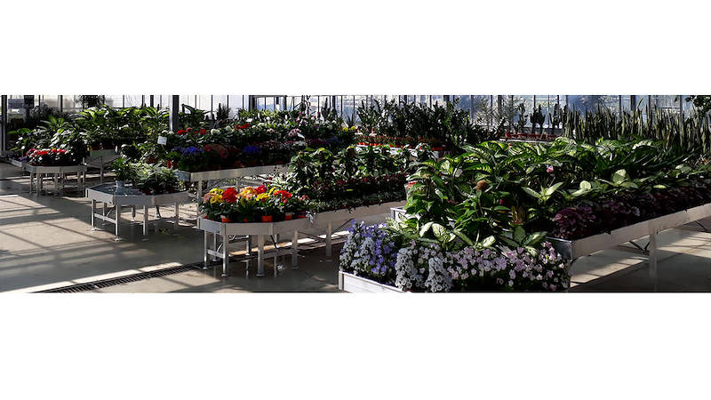 Verkaufstische und Displays für Pflanzen und Blumen