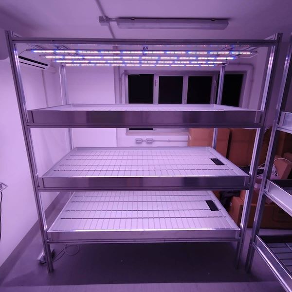 sistema de cultivo vertical