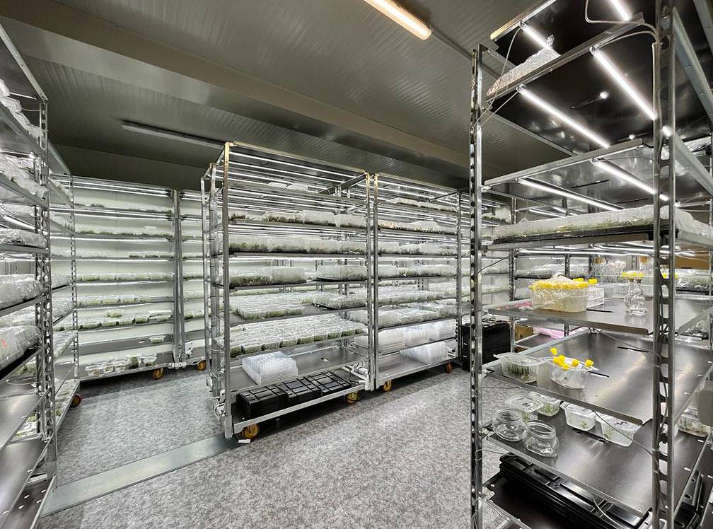 Vertical farm: la nuova tassazione favorisce l'innovazione