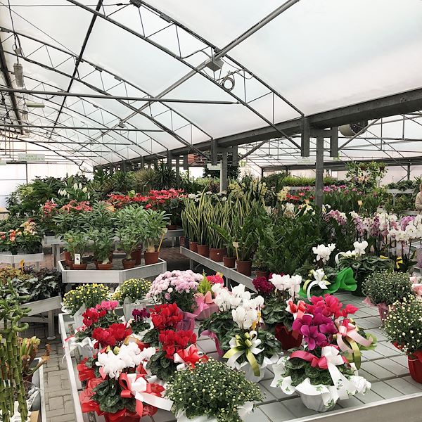 Der neue Look von Garden Frediani