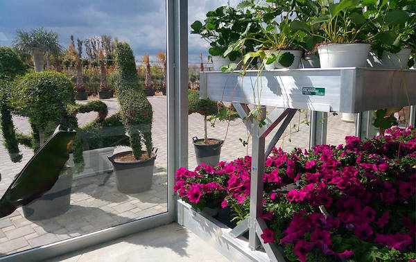 Vivai Cucco, progettazione dell’area interna