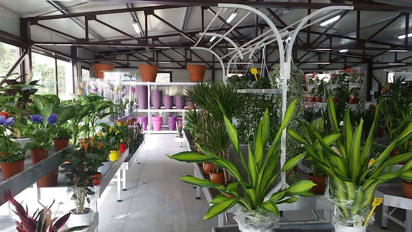 Vivai Etna, restyling dell'area interna