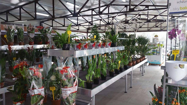 Vivai Etna, restyling dell'area interna