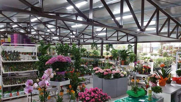 Vivai Etna, restyling dell'area interna