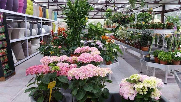 Vivai Etna, restyling dell'area interna