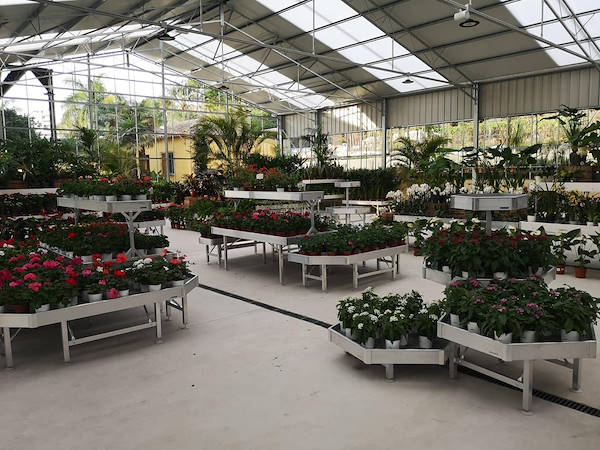 Viveros del Valle обновляет выставку растений и цветов