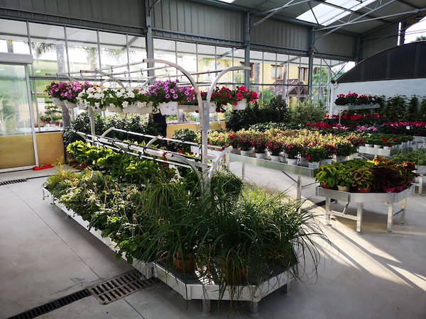 Viveros del Valle erneuert die Ausstellung von Pflanzen und Blumen