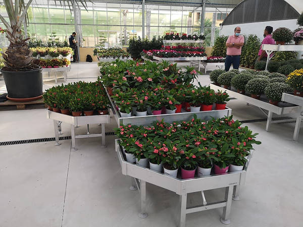 Viveros del Valle renews for plants and flowers