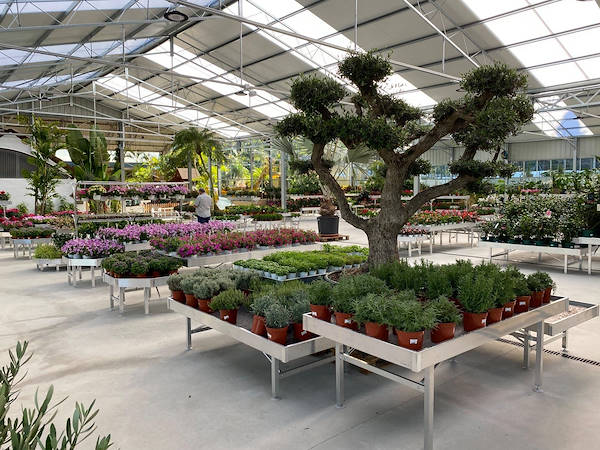 Viveros del Valle renews for plants and flowers