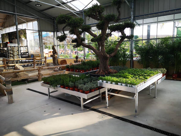 Viveros del Valle renouvelle l’exposition de plantes et de fleurs