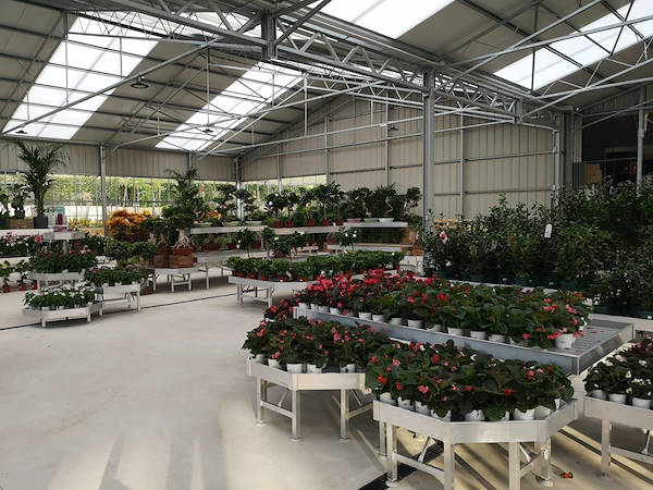 Viveros del Valle renouvelle l’exposition de plantes et de fleurs